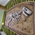 Diverhotel Dino 3*